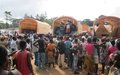 UNHCR helps first group of Ivorian refugees return home from Liberia