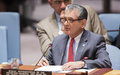  ‘Arduous path to sustainable peace’ requires long-term Security Council engagement – UN envoy